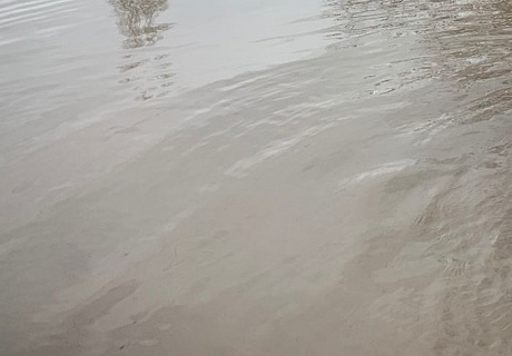 Паводок повредил 8 тысяч гектаров озимых культур 